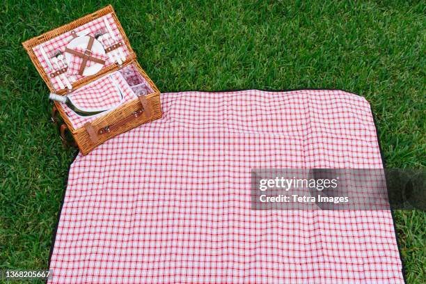 picnic basket and blanket on lawn - indoor picnic stock pictures, royalty-free photos & images