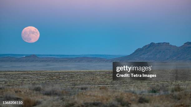 usa, new mexico, shiprock, full moon rising over navajo nation desert landscape - steppeklimaat stockfoto's en -beelden