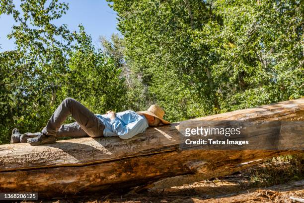 usa, idaho, bellevue, man with straw hat on face napping on fallen tree in landscape - strohhut stock-fotos und bilder