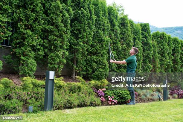 professional landscaper trimming hedge. - landscaped stock pictures, royalty-free photos & images