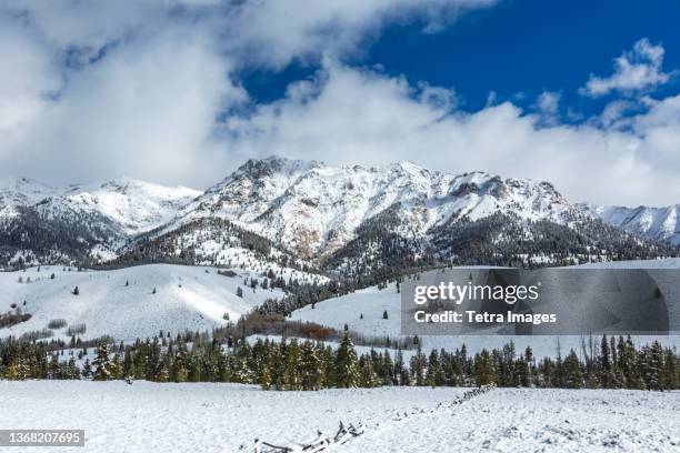 usa, idaho, sun valley, mountain landscape and forest in winter - sun valley foto e immagini stock