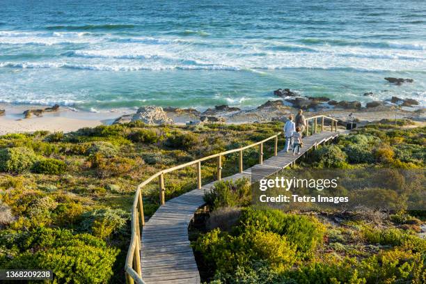 south africa, western cape, mother with boy (8-9) and girl (16-17) on wooden bridge by sea in lekkerwater nature reserve - western cape province stock pictures, royalty-free photos & images