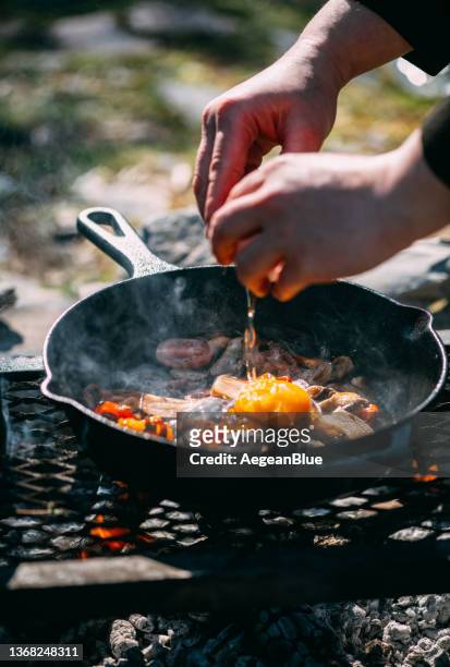 cooking by the campfire - camping campfire stock pictures, royalty-free photos & images