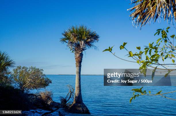 florida landscape,scenic view of sea against clear blue sky,titusville,florida,united states,usa - titusville florida stock pictures, royalty-free photos & images