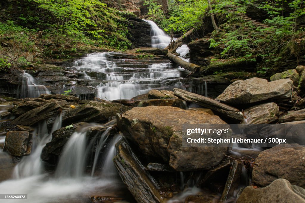 Huron Falls,Scenic view of waterfall in forest,Benton,Pennsylvania,United States,USA