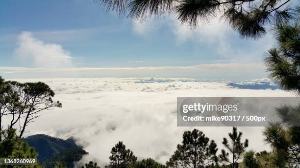 above clouds,scenic view of trees against sky,parque nacional celaque,honduras - honduras fotografías e imágenes de stock