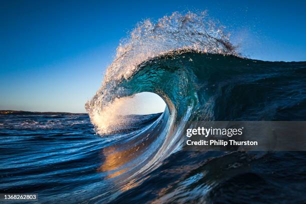 blue ocean wave cresting in morning light - super strength stock pictures, royalty-free photos & images