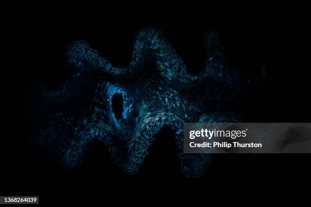 darkly lit turquoise blue coral reef - oceaanbodem stockfoto's en -beelden