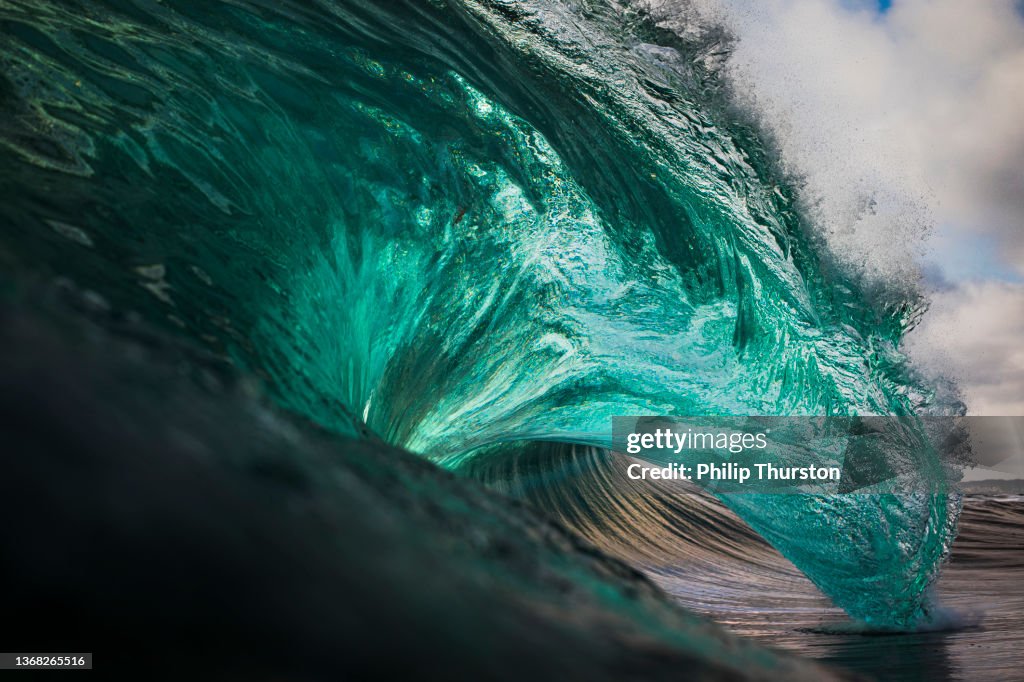 Vibrant emerald green ocean wave
