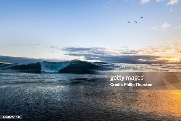 wave barreling onto shore at sunset - goud strand stockfoto's en -beelden