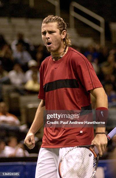 Mardy Fish is pumped after winning match point during his match with Hyung-Taik Lee of at the 2004 Siebel Open in San Jose, California, February 13,...