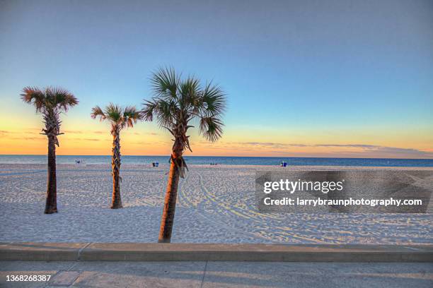 three palm trees - gulf shores alabama stock-fotos und bilder