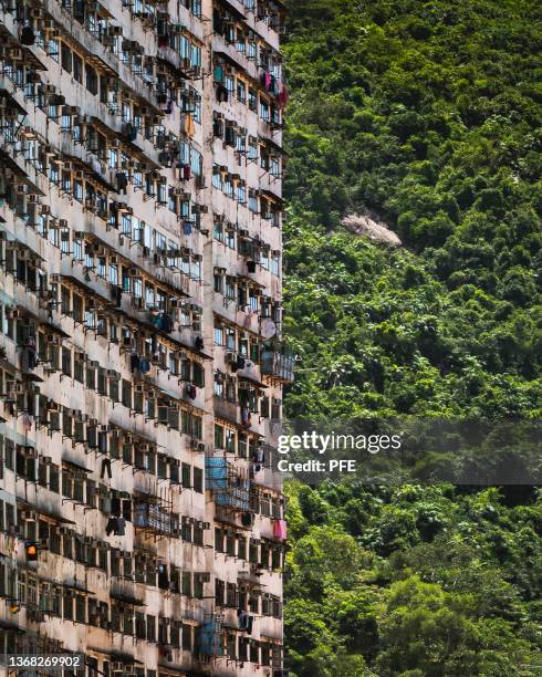 civilization vs nature - hong kong residential building stock pictures, royalty-free photos & images