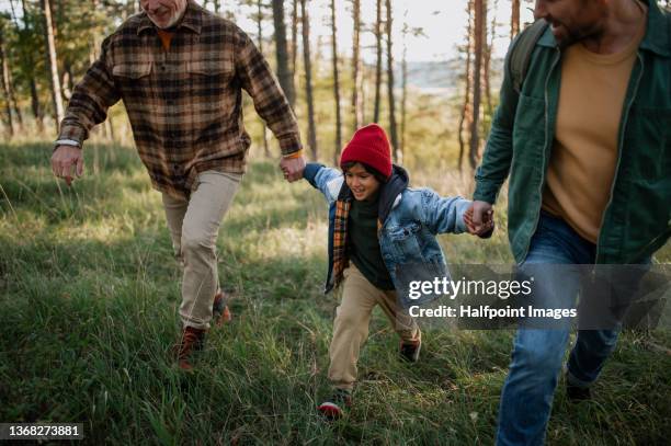 little multiracial boy holding father and grandfather when walking in forest nature in autumn day - family hiking ストックフォトと画像