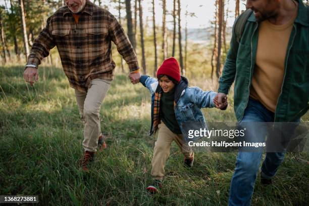 little multiracial boy holding father and grandfather when walking in forest nature in autumn day - family hiking stock pictures, royalty-free photos & images