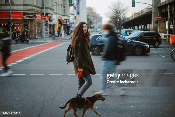 commuter in berlin mitte with her pet dog - central europe stock pictures, royalty-free photos & images