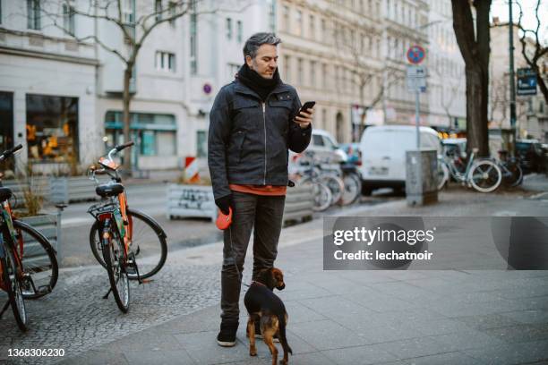 young man checking mobile phone while walking his dog in berlin - berlin winter stock pictures, royalty-free photos & images