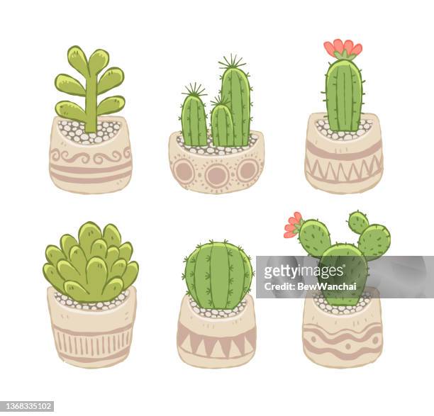 84 Ilustrações de Cactus Mix - Getty Images