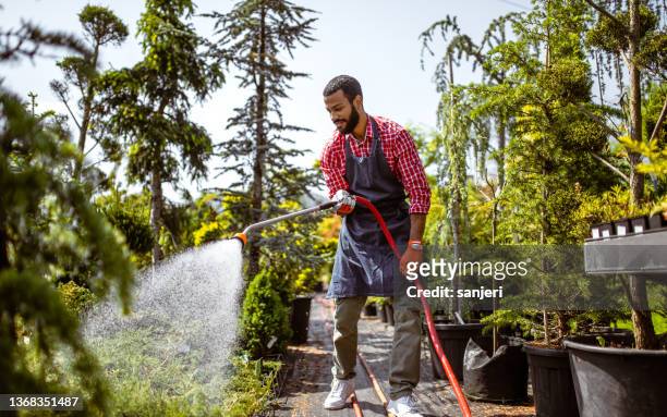 garden center employee watering plants - tuinslang stockfoto's en -beelden