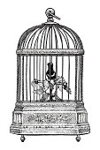 Vector drawing of vintage bird in a cage music box