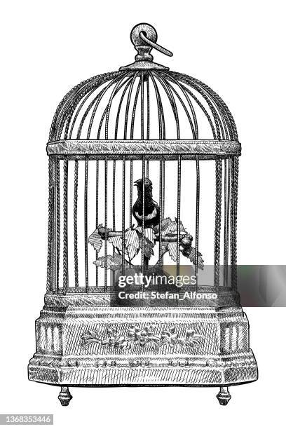 vector drawing of vintage bird in a cage music box - music box stock illustrations