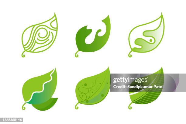 set of green leaves design elements - birch pattern stock illustrations