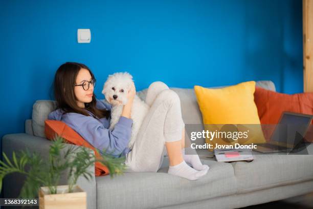 young teenage girl playing with pet on sofa - girl on couch with dog stock pictures, royalty-free photos & images