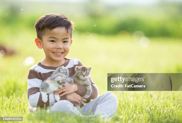 kleiner junge mit kätzchen - weidekätzchen stock-fotos und bilder