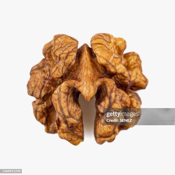 walnuts isolated - walnut fotografías e imágenes de stock