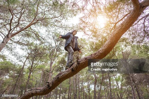 young boy walk on fallen tree trunk in forest. - gevelde boom stockfoto's en -beelden
