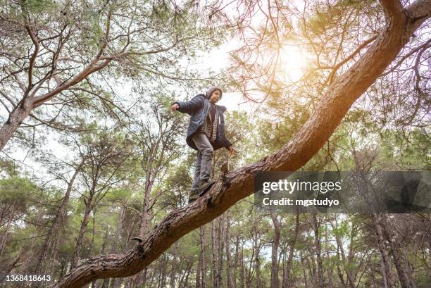 young boy walk on fallen tree trunk in forest. - fallen tree stock pictures, royalty-free photos & images