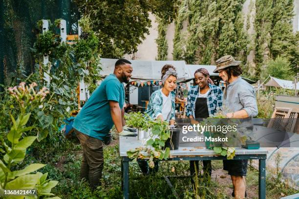 multiracial male and female volunteers talking at table in urban farm - community garden stock-fotos und bilder