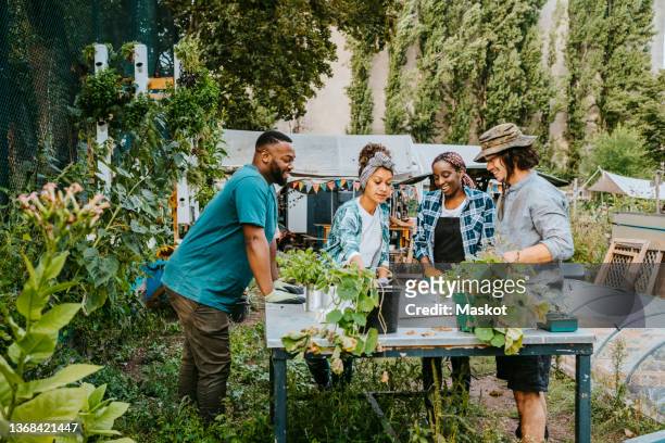 multiracial male and female volunteers talking at table in urban farm - giardino pubblico orto foto e immagini stock