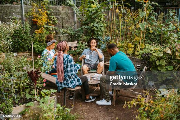 multiracial male and female farmers having coffee while sitting in community garden - young adult male stock-fotos und bilder