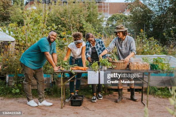 smiling male and female farmers selling vegetables in farm - harvest table stock-fotos und bilder