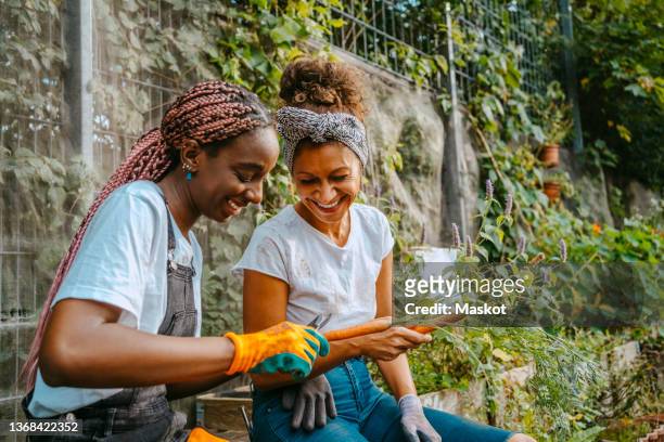 happy female environmentalist peeling carrot while sitting by woman in farm - community gardening stock pictures, royalty-free photos & images