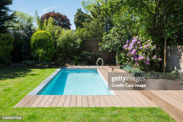 sunny idyllic swimming pool and summer garden - backyard pool no people stock-fotos und bilder