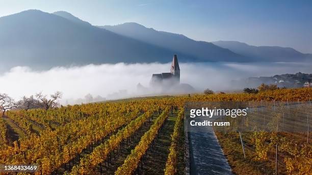 aerial panorama of weisenkirchen in der wachau vineyards at autumn morning with fog over danube river. wachau valley, austria - austria stock pictures, royalty-free photos & images