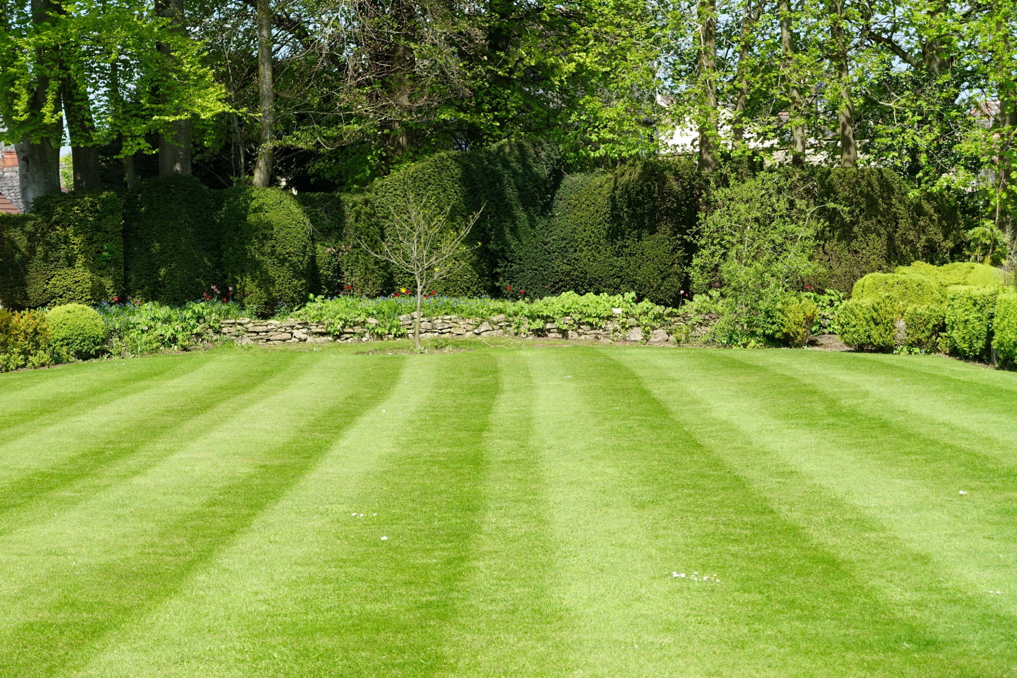 seasonal lawn care