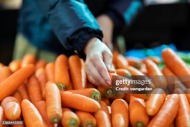middle-aged asian woman shopping for fresh organic groceries in supermarket. - carrot fotografías e imágenes de stock