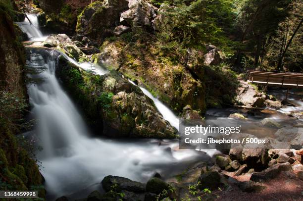 petite cascade de tendon,scenic view of waterfall in forest,tendon,france - tendon stock pictures, royalty-free photos & images