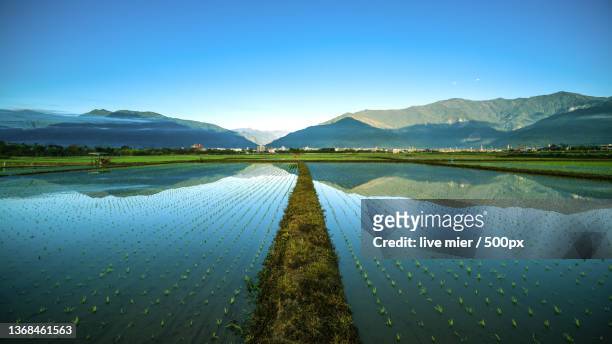 chishang township,scenic view of lake against clear blue sky,taiwan - taiwan 個照片及圖片檔