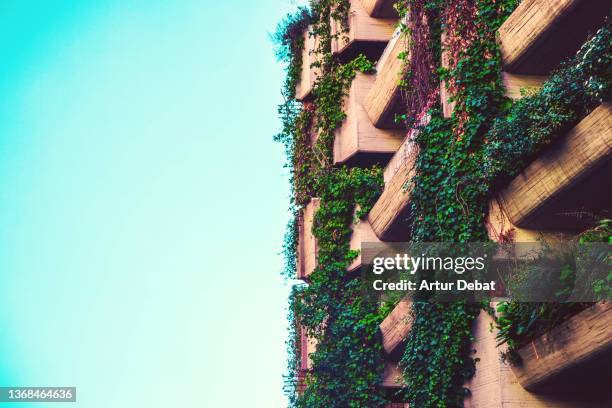 vertical green garden covering the facade of a residential building in the city. - edificio madrid fotografías e imágenes de stock