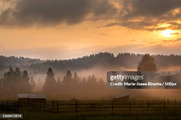 chez-nous,tt le matin,trees on field against sky during sunset - binette stock pictures, royalty-free photos & images