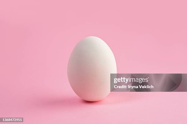 white color easter egg on pastel pink color background.  easter minimal concept. - animal egg stock pictures, royalty-free photos & images