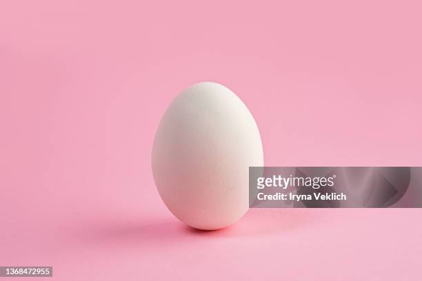white color easter egg on pastel pink color background.  easter minimal concept. - ägg bildbanksfoton och bilder