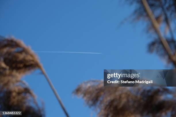 Reed Jet Jet Reed Photos and Premium High Res Pictures - Getty Images