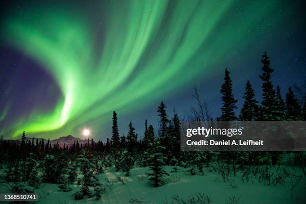 northern lights in alaska - denali national park foto e immagini stock