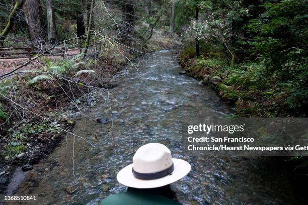 National Park Service Ranger and Marin Community Liaison Mia Monroe looks out at Redwood Creek where the natural flood plane is being restored to...