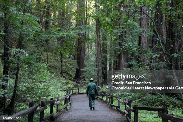 Charlie Strickfaden walks through Muir Woods National Monument in Mill Valley, Calif. Monday, Jan. 10, 2022. Muir Woods National Monument is...